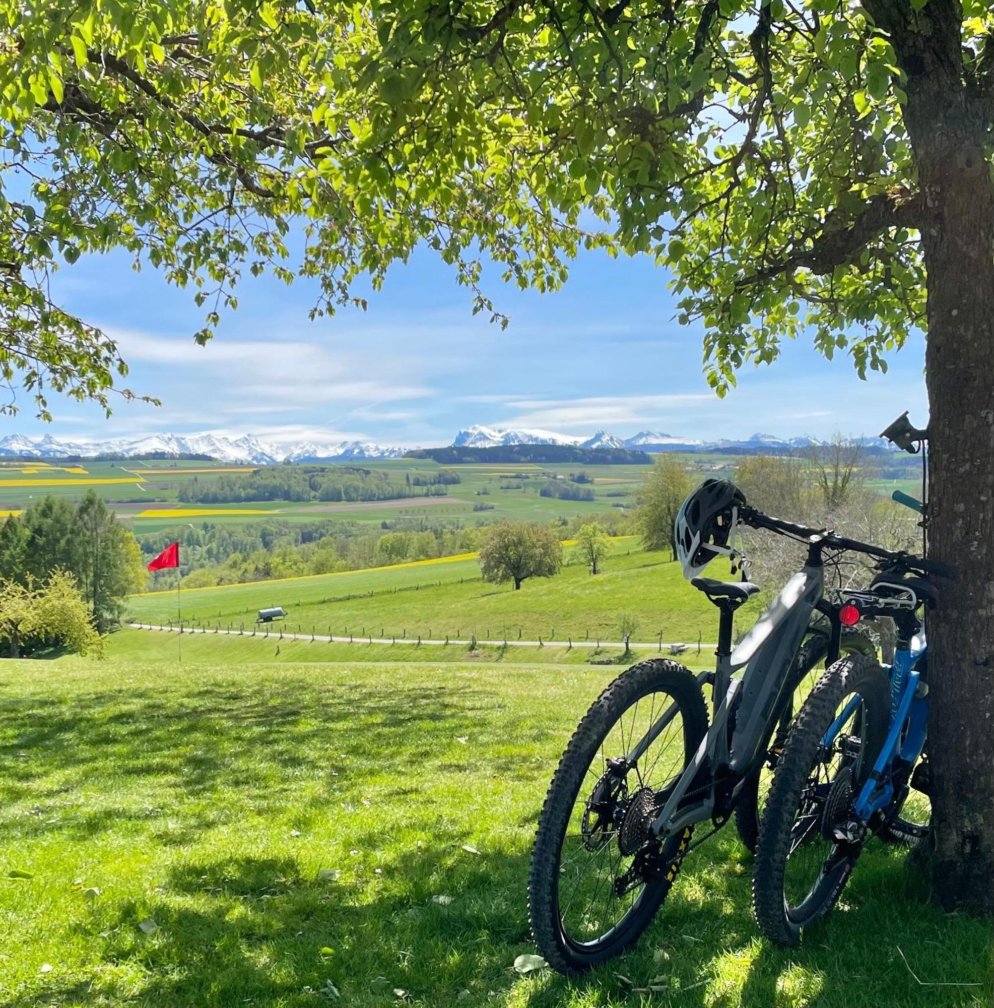 Cabane Dans Les Arbres / Swin-Golf De Cremin Exteriör bild